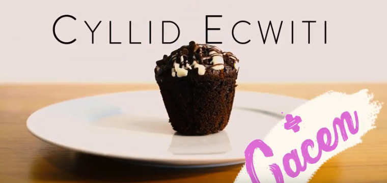 Cyllid Ecwiti