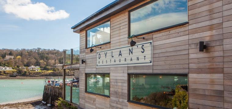dylan's