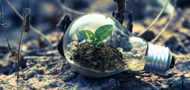 lightbulb sustainability
