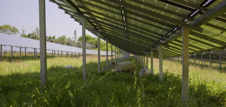 Gower Solar Energy Farm