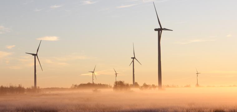 Windmills at dawn