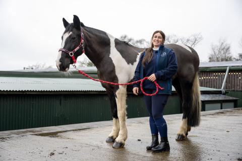 Smugglers Livery and Equestrian Centre - Dev Bank