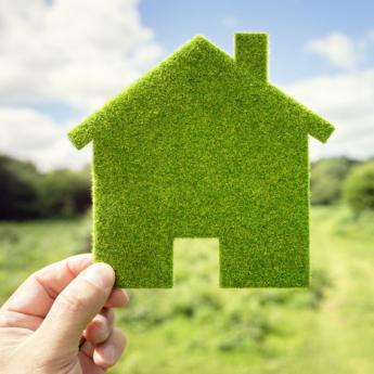 Moss covered home concept